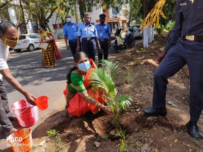 Planting Saplings at GCE Salem