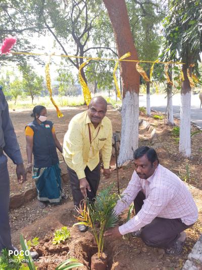 Planting Saplings at GCE Salem