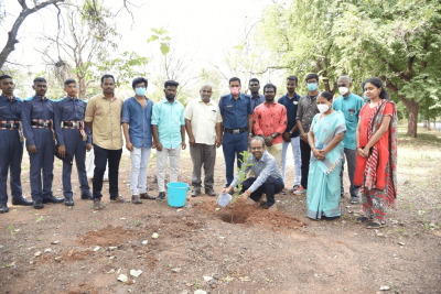 Plant saplings