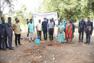 Plant saplings