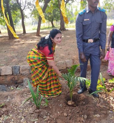 Planting Saplings at GCE Salem