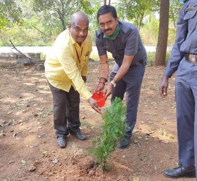 Planting Saplings at GCE Salem
