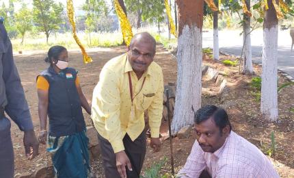 Planting Saplings at GCE Salem